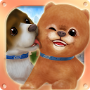 Puppy Run: Peeka Boo mobile app icon