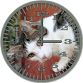 Cat 4 WallCat Analog Clock Apk