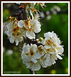 HD Photography India poster 1