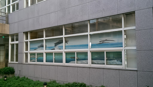 NKMU - 鯨豚之窗