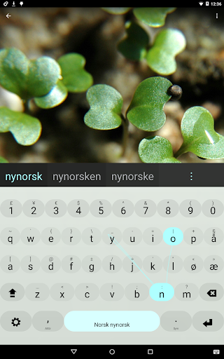 Nynorsk Keyboard plugin