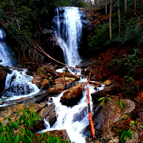 by BJ Williamson - Landscapes Waterscapes