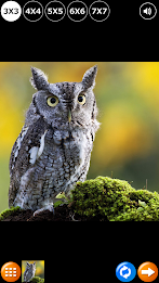 Tile Puzzle: Birds poster 3