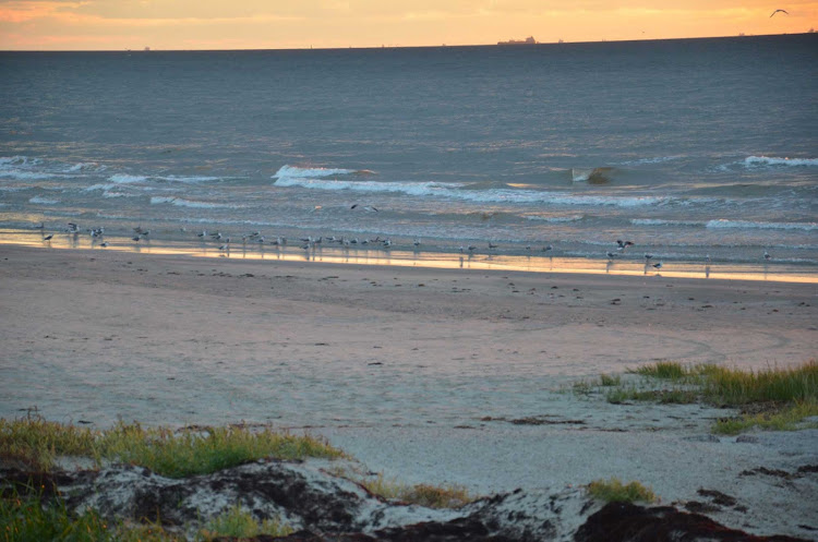 Morning in Galveston, Texas.