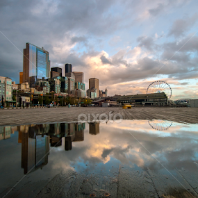 by Larry Rogers - City,  Street & Park Skylines