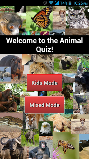 Animal Picture Quiz