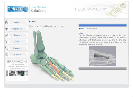   Foot Anatomy- screenshot thumbnail   