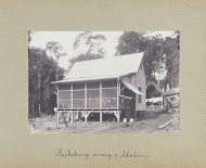 Muskietenvrije woning op "Sikakamp"