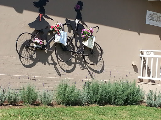Bicycles and Flowers