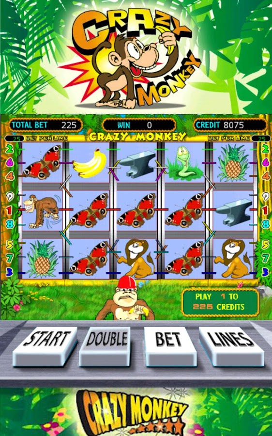 Monkey Money Slots Full