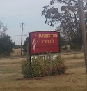 Harvest time church
