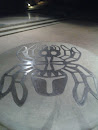 Spider Platform at Tennessee Aquarium