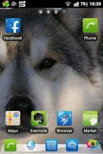 Go Launcher EX Husky Theme