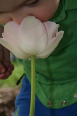 040