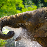 Showertime by Christiane Baur -  
