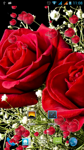 免費下載個人化APP|3D Rose Live Wallpaper app開箱文|APP開箱王