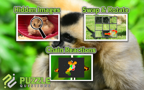 Free Animal Games Screenshots 11