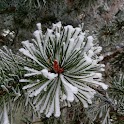 Winter Snow slide puzzles logo