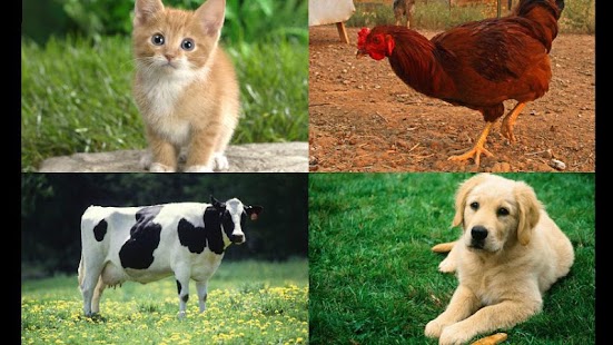 How to download Toddler Animal Game V1.0 apk for pc