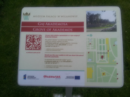Grove of Akademos 