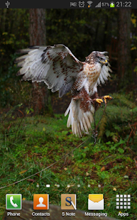 Eagles Wallpapers Screenshots 3