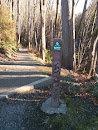 Ravenna Park Ravine Trail Marker