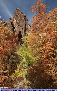 The Four Seasons - náhled