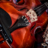 Together Again by Gini Farnham -  