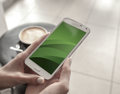 credit bureau services willis texas