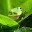 Critter Comedy Jokes Download on Windows