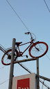 Bicycle on a Signboard