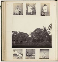 Dierentuin en portretten