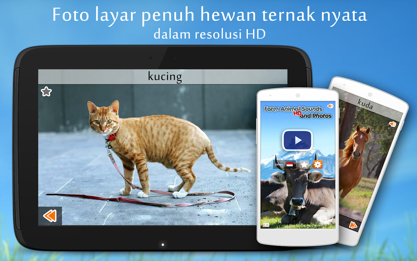 Suara Binatang Ternak Apl Android Di Google Play