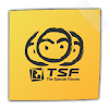 TSF Notepad Widget