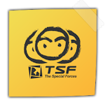 TSF Notepad Widget Apk