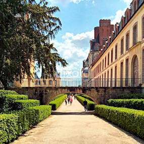 View from Fontainebleau, France -5 by Sajal Gupta - Instagram & Mobile Android