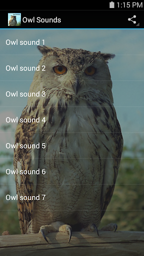 【免費音樂App】Owl Sounds-APP點子