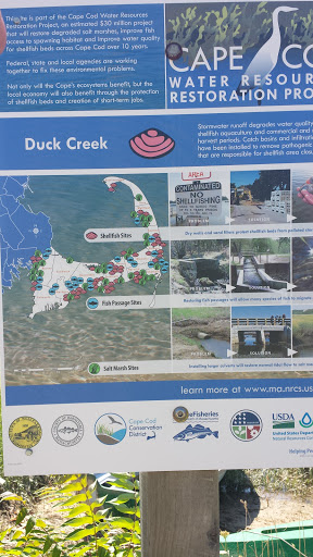 Wellfleet Duck Creek Water Resource Restoration 