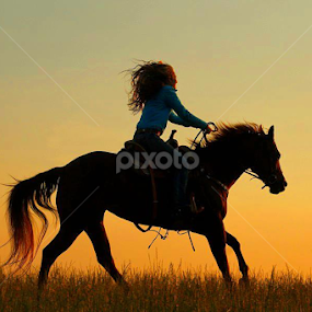 Photo by: Heather Carter. by Heather Carter - Animals Horses