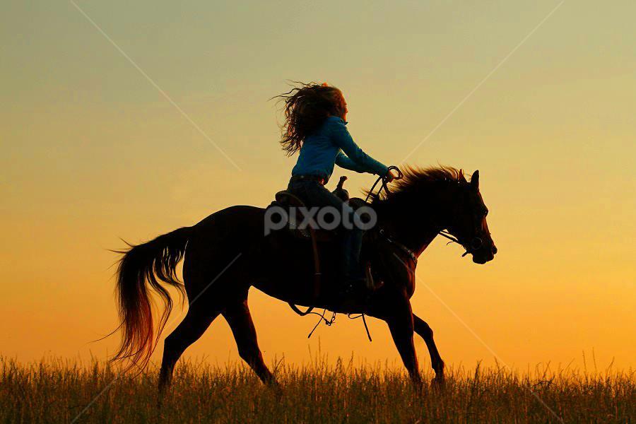 Photo by: Heather Carter. by Heather Carter - Animals Horses