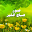 صباح الخير 4 :صور للمشاركة Download on Windows