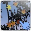 Maple Leaf Live Wallpaper icon