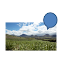 Talking Photos logo