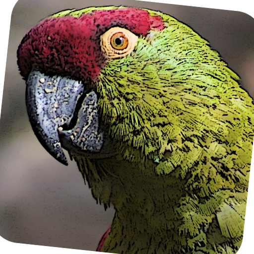 Repeating Parrot Voice Changer