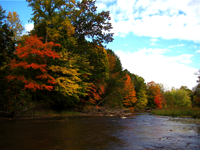 fall river colors.jpg