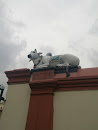 Holy Cow Resting on the Wall