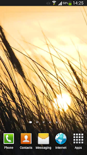 download Grass Live Wallpaper HD free