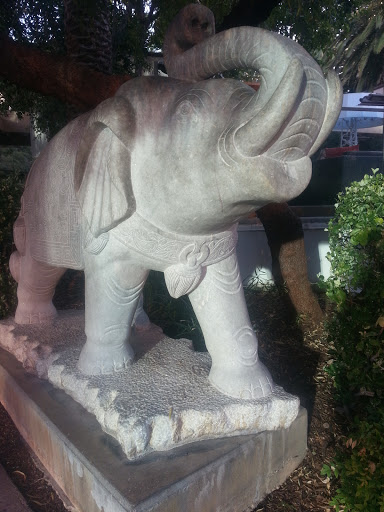 Chinese Elephant