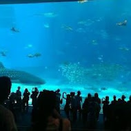 美麗島沖繩風味居酒屋