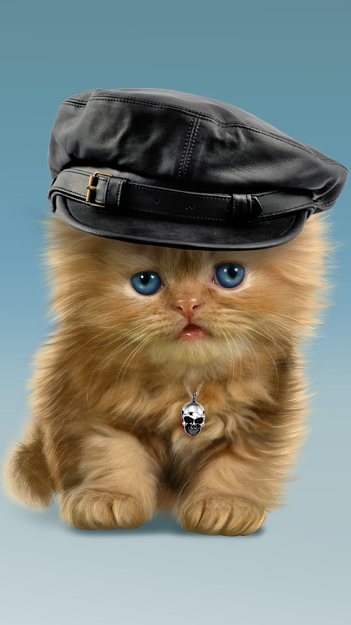  Baby  Cat Cute  Live  Wallpaper  Android Apps on Google Play